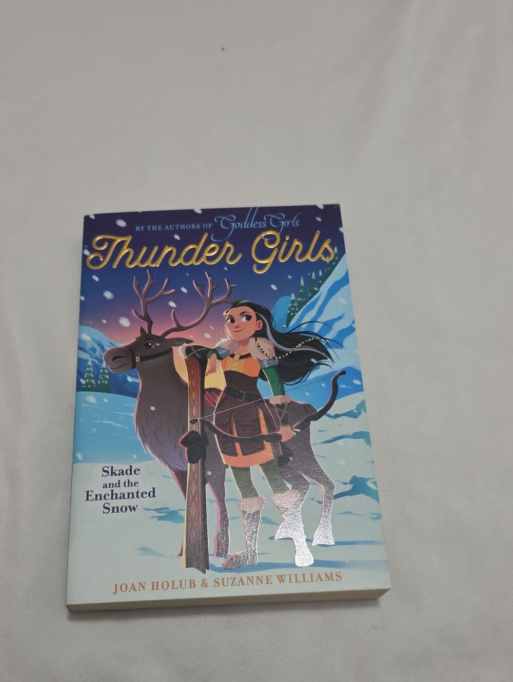 Thunder Girls Book 4 Skade And The Enchanted Snow